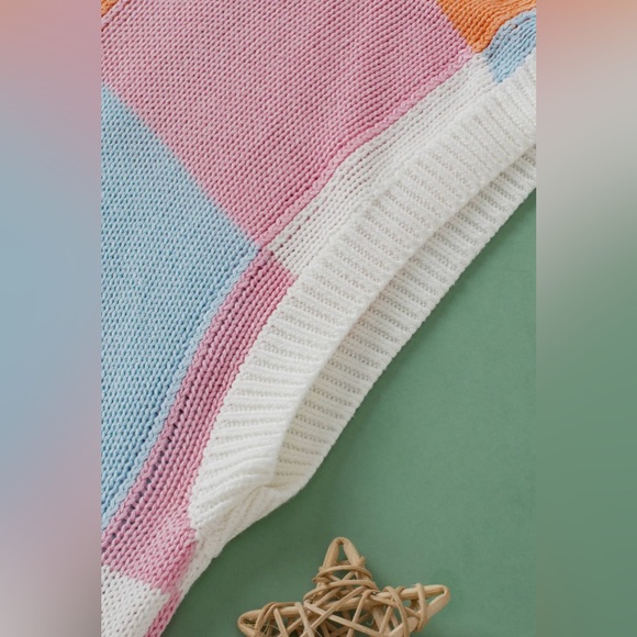 Sweater / ColorBlock Lightweight Sleeveless Knit Sweater - Picture 6 of 9